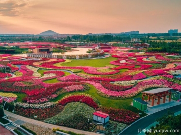南陽2023首屆世界月季博覽會，月季花開迎客來