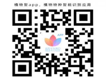 植物智app，植物物種智能識(shí)別應(yīng)用