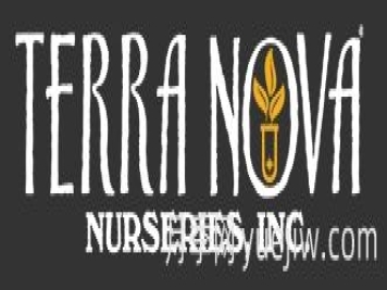 月季育種家：美國特拉諾瓦苗圃(Terra Nova)