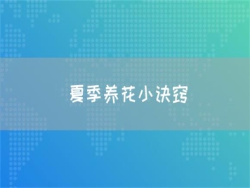 夏季養(yǎng)花小訣竅