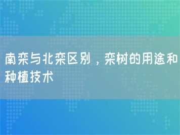 南欒與北欒區(qū)別，欒樹的用途和種植技術(shù) 