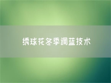 繡球花冬季調(diào)藍(lán)技術(shù)
