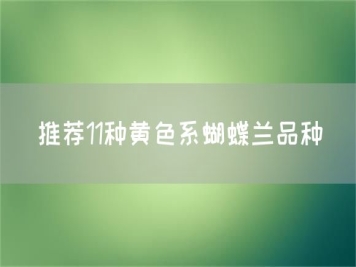 推薦11種黃色系蝴蝶蘭品種