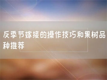 反季節(jié)嫁接的操作技巧和果樹品種推薦