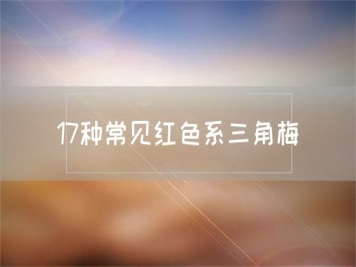 17種常見紅色系三角梅