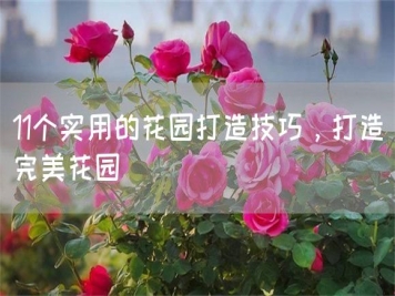 11個(gè)實(shí)用的花園打造技巧，打造完美花園