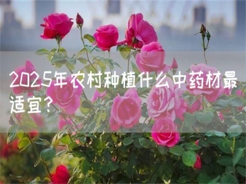 2025年農村種植什么中藥材最適宜？