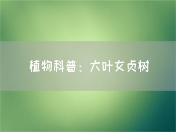植物科普：大葉女貞樹(shù)