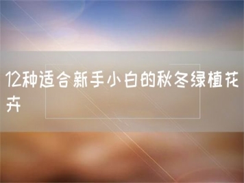 12種適合新手小白的秋冬綠植花卉