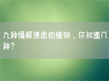 九種緩解焦慮的植物，你知道幾種？