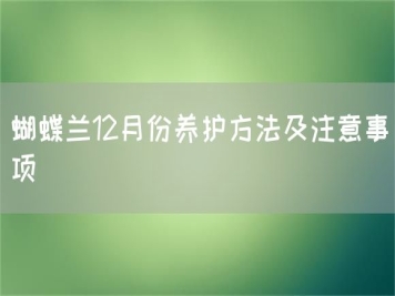 蝴蝶蘭12月份養(yǎng)護(hù)方法及注意事項(xiàng)