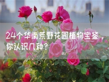 24個華南荒野花園植物寶鑒，你認識幾種？