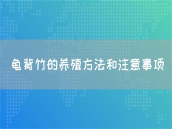 龜背竹的養(yǎng)殖方法和注意事項