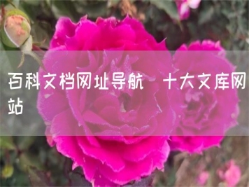 百科文檔網(wǎng)址導(dǎo)航_十大文庫網(wǎng)站