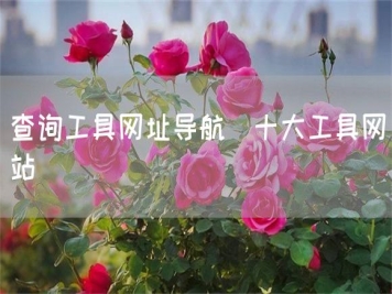查詢工具網(wǎng)址導(dǎo)航_十大工具網(wǎng)站