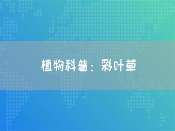 植物科普：彩葉草