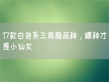 17款白色系三角梅品種，哪種才是小仙女