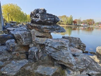 常見(jiàn)綠化的類(lèi)型和景觀(guān)植物配置