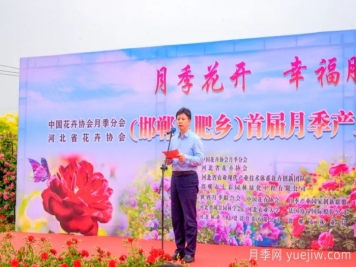 邯鄲月季：肥鄉(xiāng)區(qū)首屆月季產(chǎn)業(yè)高質(zhì)量發(fā)展大會(huì)舉辦