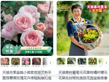 靠譜的月季淘寶店鋪有哪些？