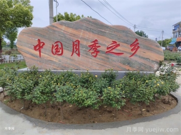 帶您了解河南南召石材產(chǎn)品大全