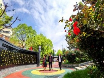 南陽臥龍崗街道，廢墟變游園，月季景優(yōu)美