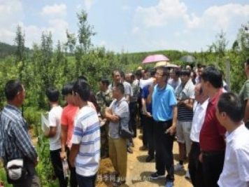 什么是新農(nóng)人，和傳統(tǒng)農(nóng)民有什么區(qū)別