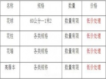 清地在即，部分造型月季品類月季價(jià)格短時(shí)間走低