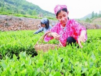 蘭陵鄉(xiāng)村振興：廣袤田間鋪展多彩畫(huà)卷