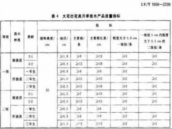 月季苗的質(zhì)量行業(yè)標(biāo)準(zhǔn)