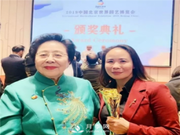 北京大興月季工匠——王波