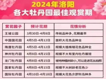 2024年洛陽(yáng)牡丹絢爛綻放，誰(shuí)與爭(zhēng)鋒？