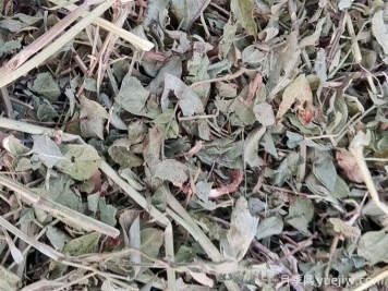 2024年南陽(yáng)優(yōu)質(zhì)花生秧草粉開(kāi)始供應(yīng)
