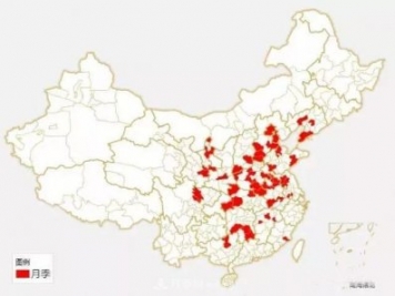 中國各城市市花大集合！月季是51個(gè)城市市花具首位