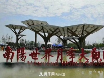 南陽世界月季大觀園：只愛園中月季美，不羨他鄉(xiāng)百花艷