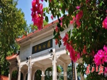 湖北武漢百萬株月季“理發(fā)”，國慶節(jié)前將綻放街頭