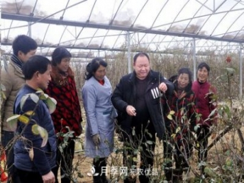 南陽月季集團(tuán)總經(jīng)理李付昌——月季大觀園里的拓荒者