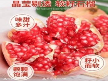 淅川突尼斯軟籽石榴基地批發(fā)價(jià)格，好水果