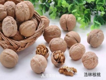 南陽市內(nèi)鄉(xiāng)縣萬畝林果基地 助力農(nóng)民脫貧奔小康