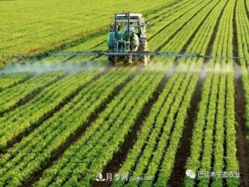 巴旦木生態(tài)農(nóng)業(yè)：河南三門峽為什么適合種植巴旦木？