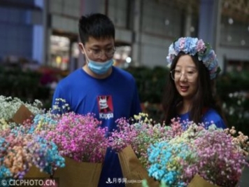 云南昆明：長假“帶火”花卉經(jīng)濟