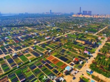 廣東省中山市橫欄鎮(zhèn)，這個(gè)3萬畝的花木之鄉(xiāng)，畝均年產(chǎn)值竟達(dá)10萬元