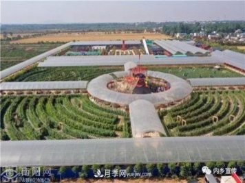 游玩好去處！內(nèi)鄉(xiāng)縣灌漲鎮(zhèn)歐月花海風情園盛妝開園