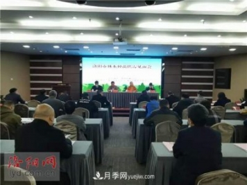 2.2億株！洛陽(yáng)市可供今冬明春國(guó)土綠化使用的苗木種類齊全