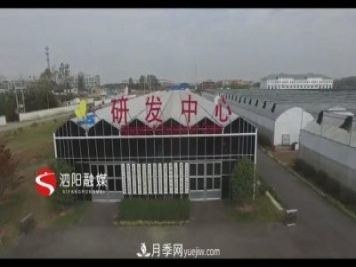 江蘇泗陽新境界花卉基地：“花樣”產業(yè)助力鄉(xiāng)村振興
