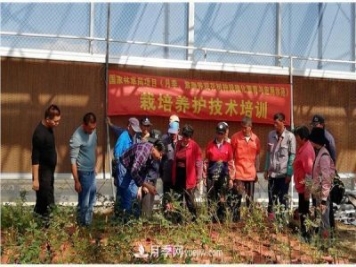 上海崇明舉辦月季繁殖栽培及冬季養(yǎng)護(hù)技術(shù)培訓(xùn)