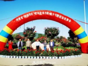 河南省四優(yōu)四化項(xiàng)目 助推南陽月季、梔子產(chǎn)業(yè)發(fā)展