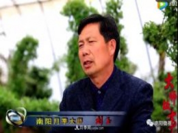 南陽月季大師——劉玉