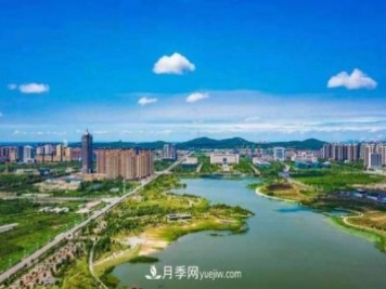 淮南市花、市樹是什么？是月季嗎？
