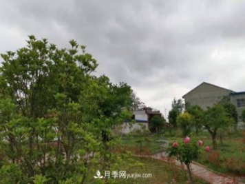 十三五以來，許昌市累計(jì)完成林業(yè)生態(tài)建設(shè)面積120余萬畝